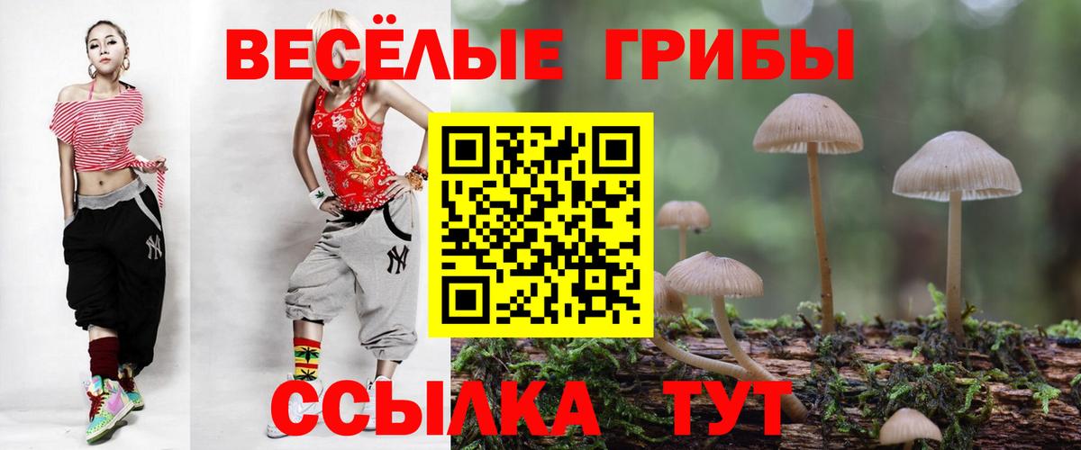 Псилоцибиновые грибы Cubensis  Вход с VPN  Ефремов 