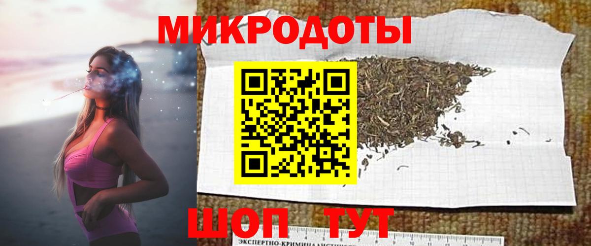 Псилоцибиновые грибы Psilocybine cubensis Ефремов